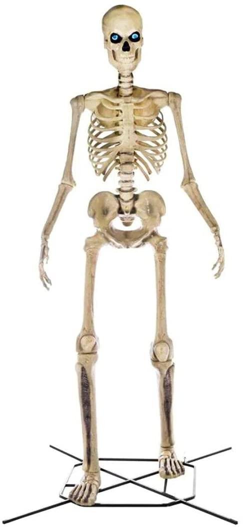 b0